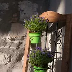 Il Borghetto Di Apartment